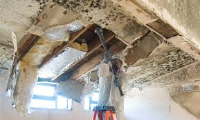 Best Post-Construction Mold Inspection  in Highland Beach, FL